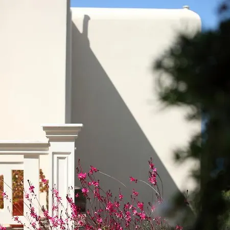 Villa Aithra -Agios Petros Andros Gavrio Exterior foto