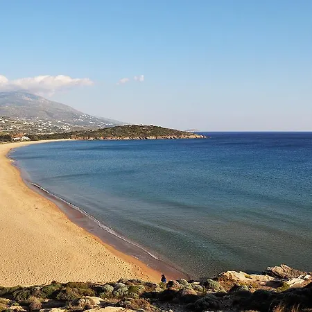 Villa Aithra -Agios Petros Andros Gavrio Exterior foto