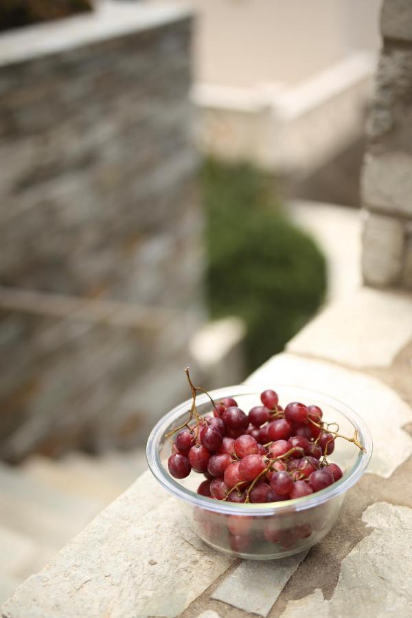 Aithra -agios Petros Andros * Gavrio